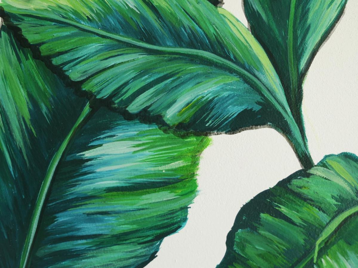 Art Maya Rooms Isla Holbox Exterior foto