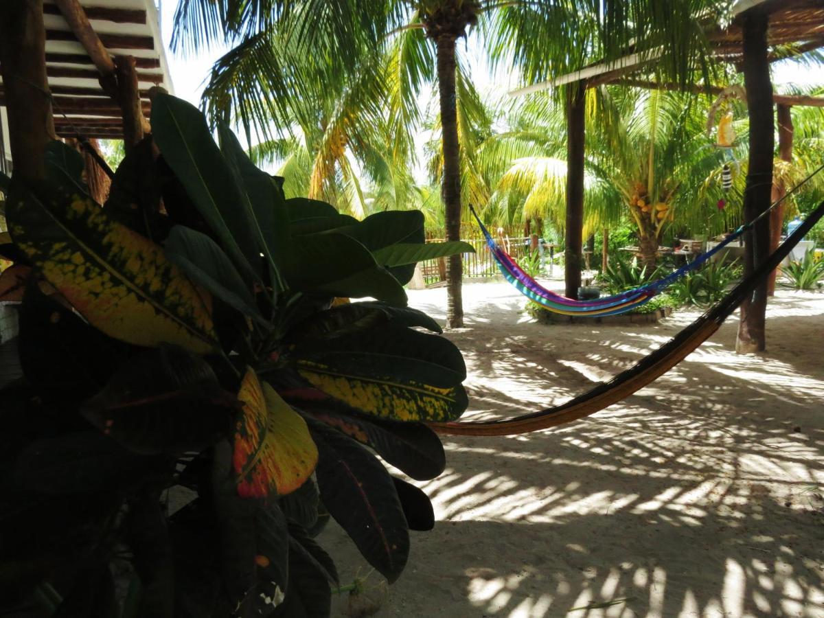 Art Maya Rooms Isla Holbox Exterior foto